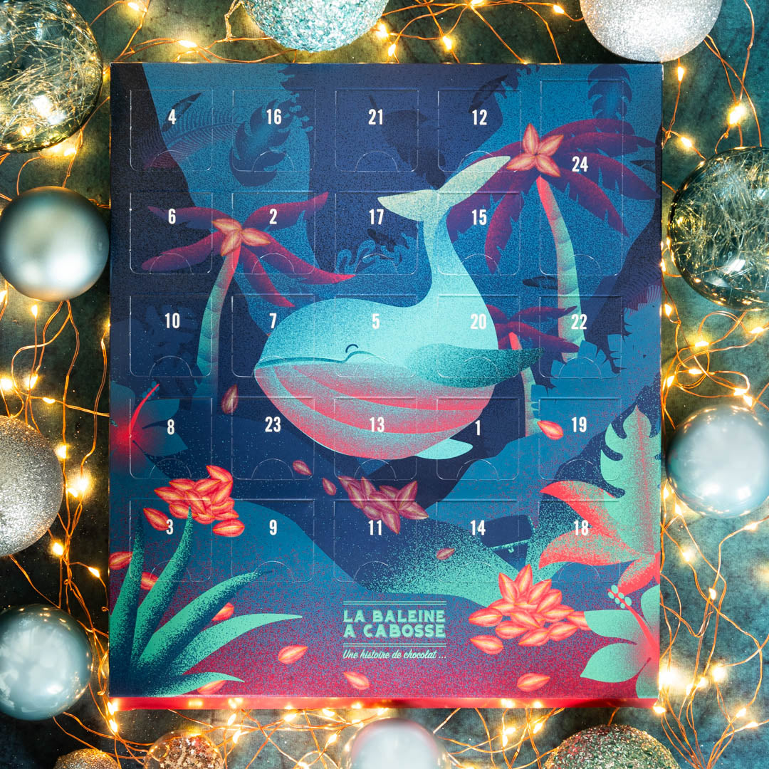 La Baleine à Cabosse | Adventskalender Entdeckungsreise des Bean to bar