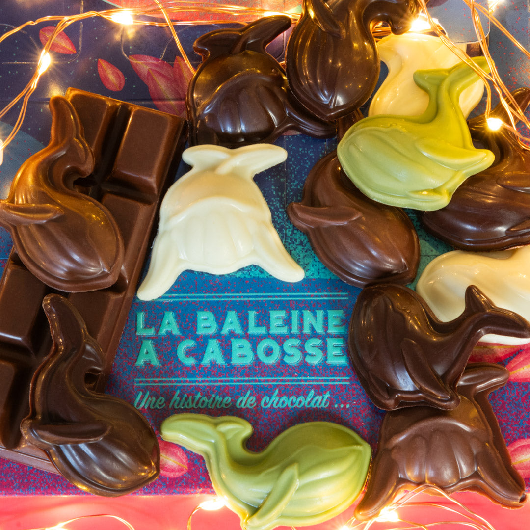 La Baleine à Cabosse | Adventskalender Süßschnabel